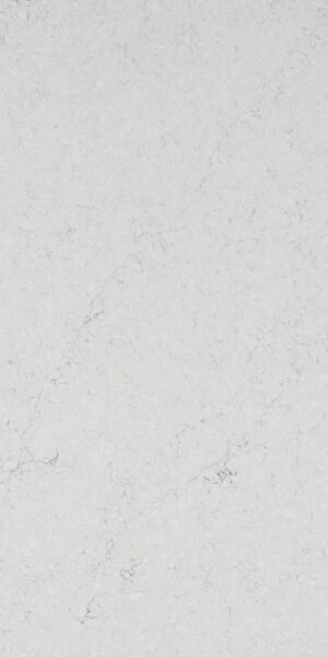 QN1045-2 Everest White 2